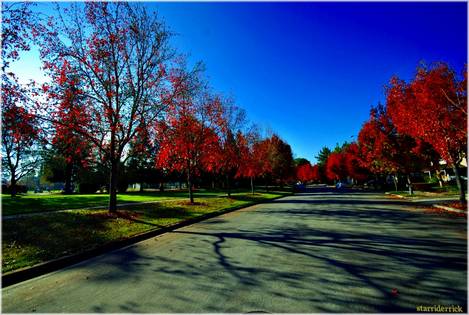 Mountain View,Ca